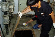 污水及化糞池投藥施工過程